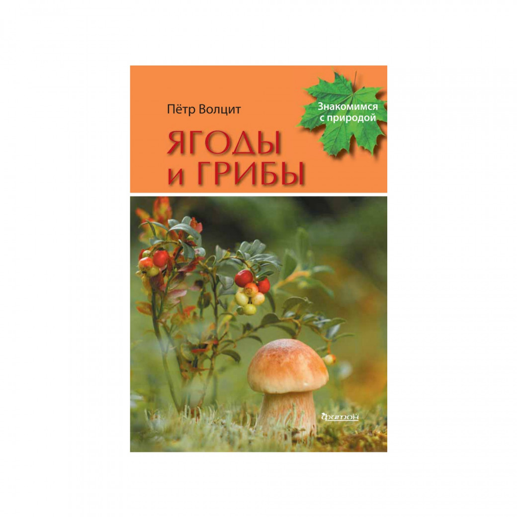 Ягоды и грибы. Волцит П. М.