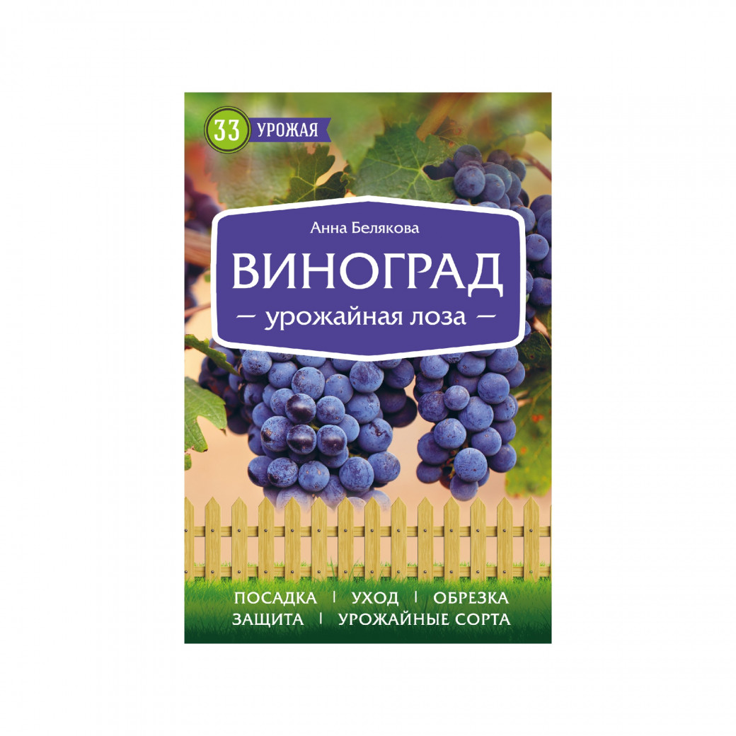 Виноград. Урожайная лоза. Белякова А.