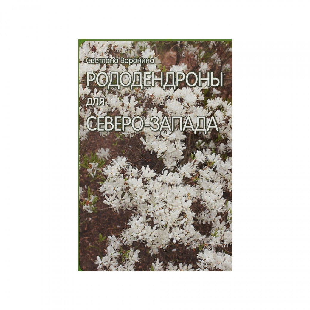Рододендроны для Северо-Запада. Воронина С.